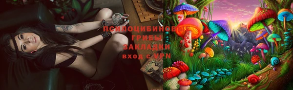 винт Аркадак