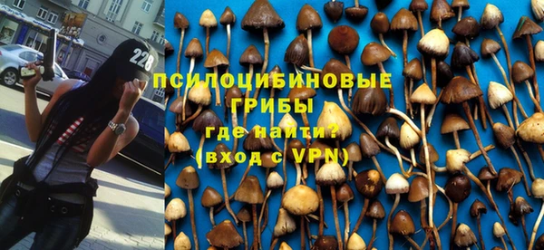 эйфоретик Армянск