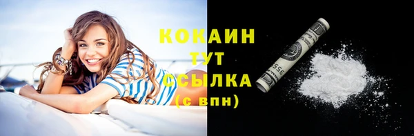 молекула духа Арсеньев