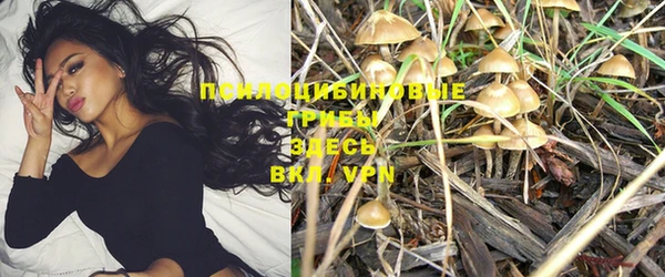 индика Абинск