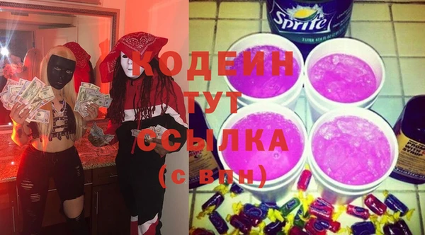 молекула духа Арсеньев