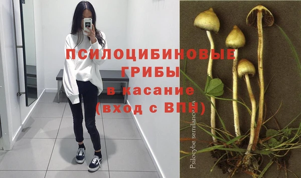 эйфоретик Армянск