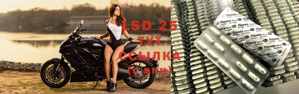 винт Аркадак