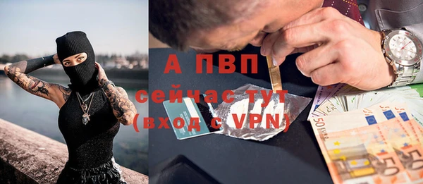 молекула духа Арсеньев