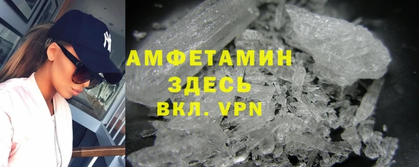 молекула духа Арсеньев