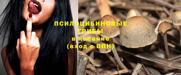 молекула духа Арсеньев