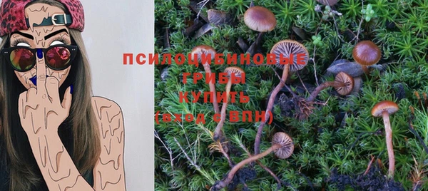 молекула духа Арсеньев